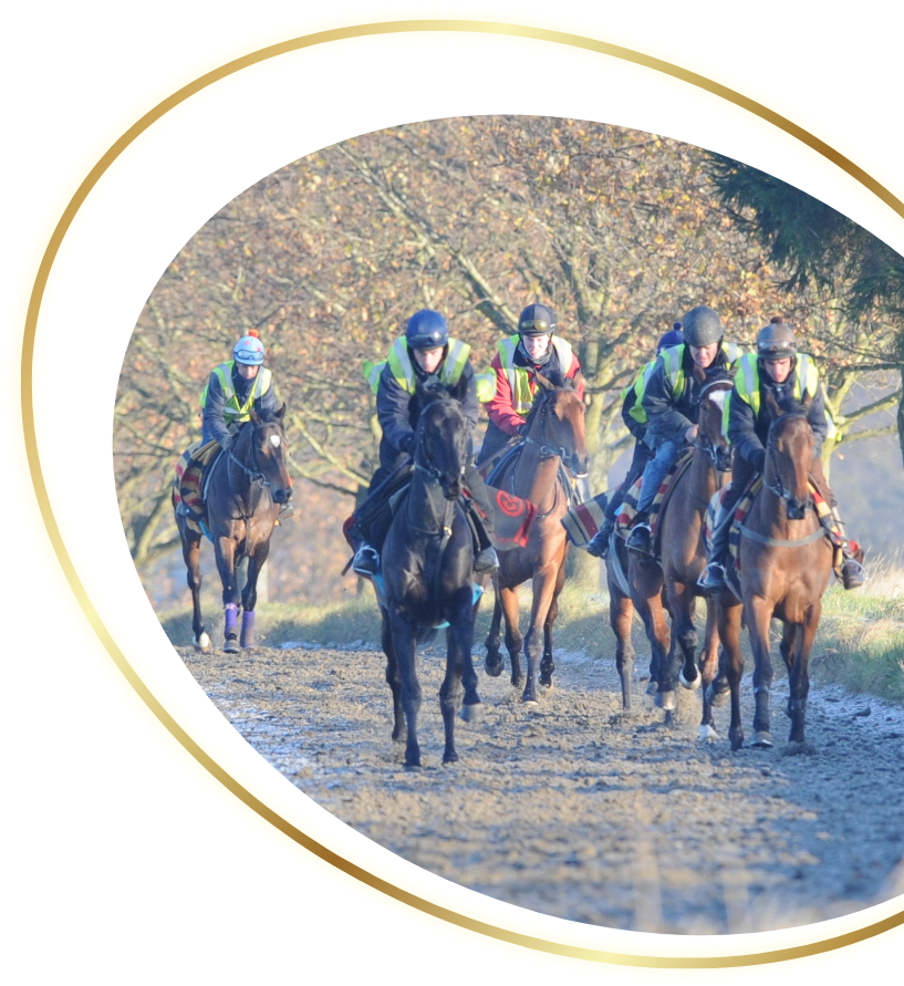 meet-our-trainers-header-image