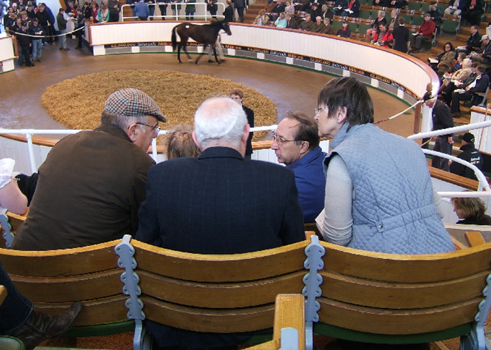 owners-event-tattersalls-sales-2011-hotsr-4 (1)